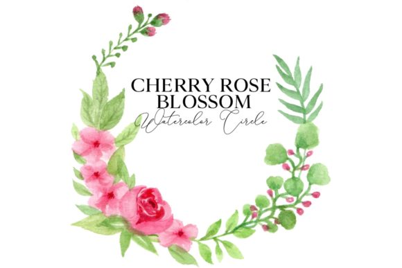 Cherry Rose Blossom Watercolor Circle